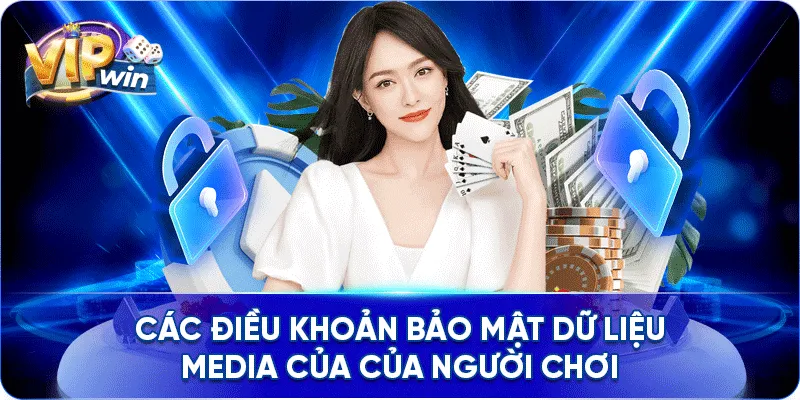 Các điều khoản bảo mật dữ liệu Media của của người chơi
