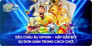 Kèo Châu Âu Vipwin – Hấp Dẫn Bởi Sự Đơn Giản Trong Cách Chơi