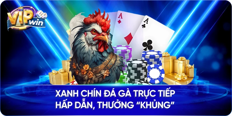 Xanh Chín Đá Gà Trực Tiếp Hấp Dẫn, Thưởng “Khủng”